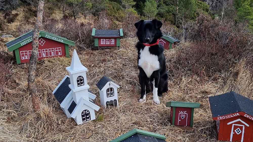 leo sitting in model village